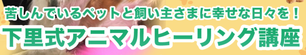 下里式アニマルヒーリング講座の口コミと料金は？レッスン申し込み方法