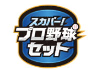 【図解】プロ野球セット2024の加入の手順・申し込み方法